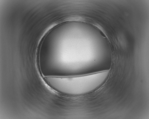 X0000068261139200604210907