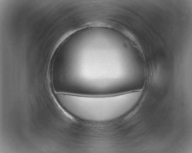 X0000068261141200604210907