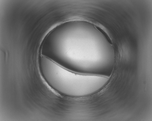 X0000068261142200604210907
