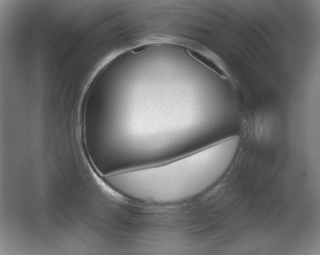 X0000068261143200604210908