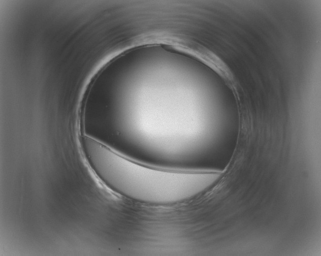 X0000068261144200604210908