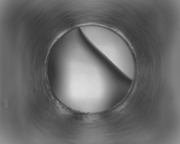 X0000068261145200604210908