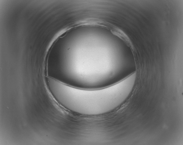 X0000068261146200604210908