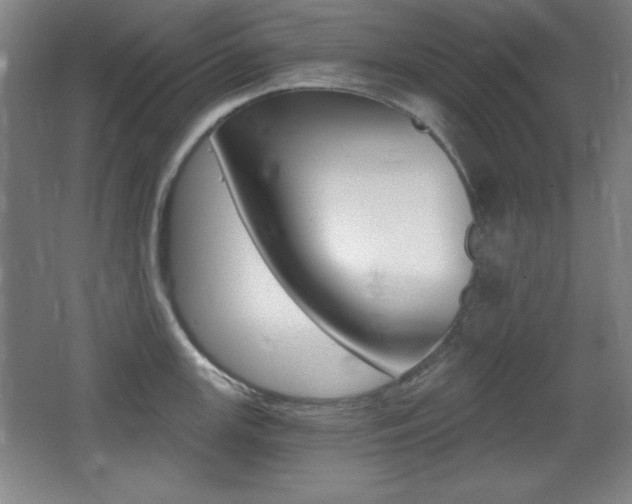 X0000068261147200604210908