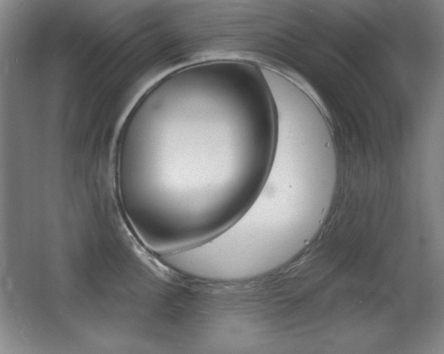 X0000068261148200604210908