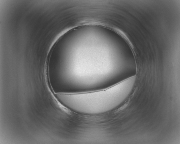 X0000068261149200604210908