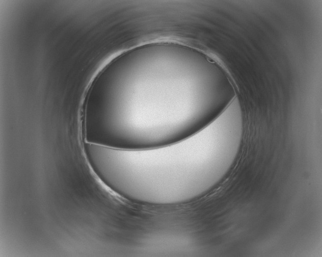 X0000068261151200604210908