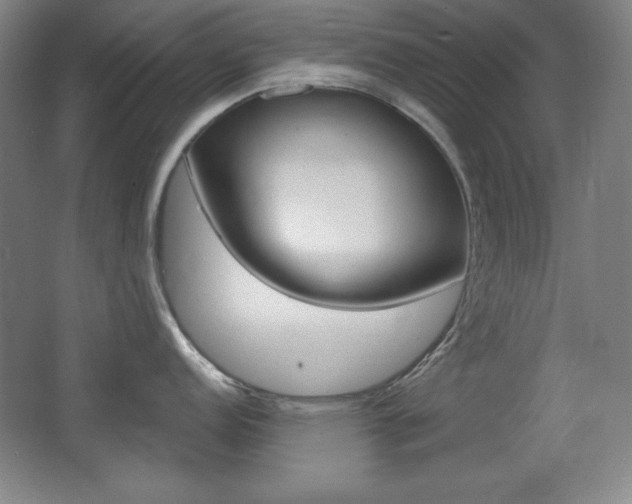 X0000068261152200604210908