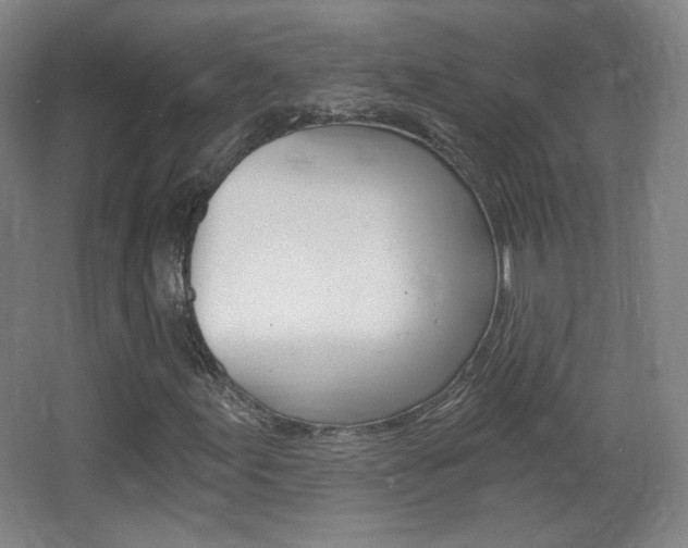 X0000068261155200604210907