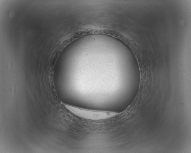 X0000068261157200604210907