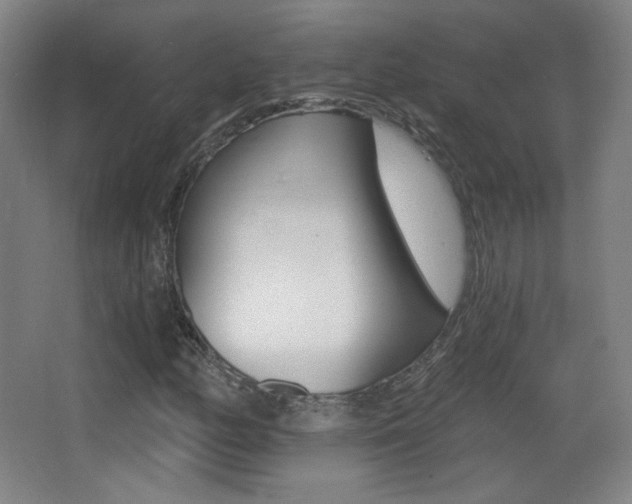X0000068261158200604210907