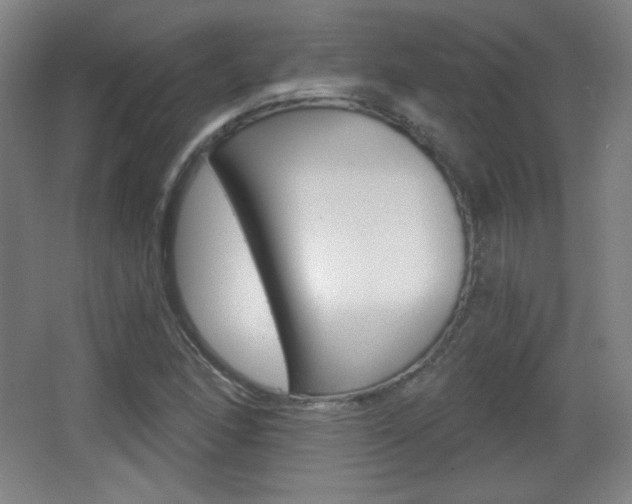 X0000068261166200604210907