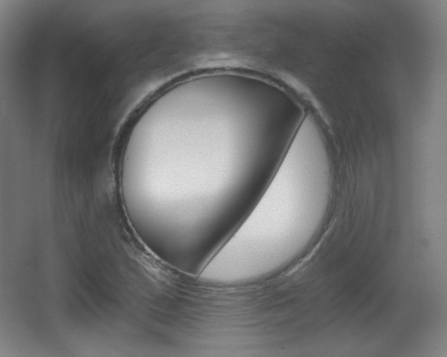 X0000068261167200604210907
