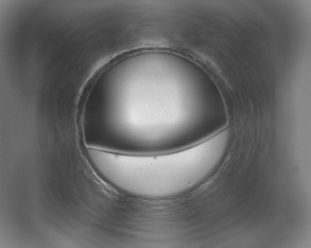 X0000068261168200604210907