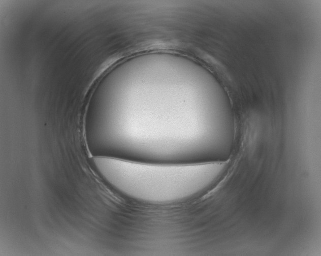 X0000068261170200604210907