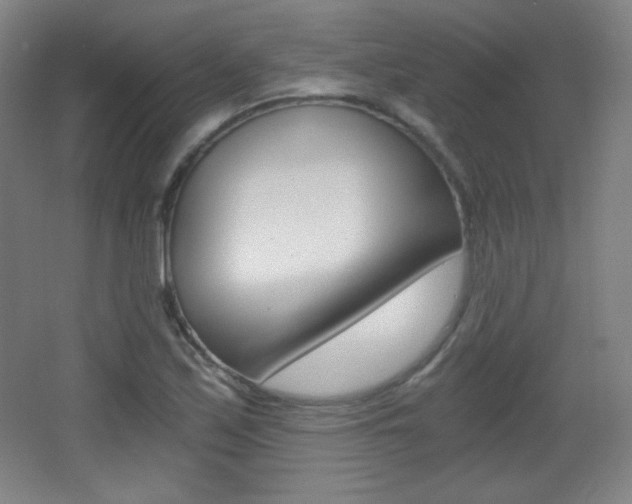 X0000068261171200604210907