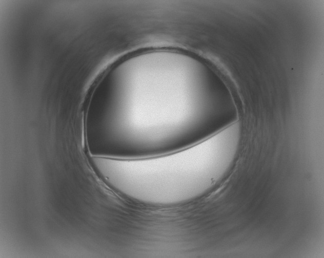 X0000068261175200604210906