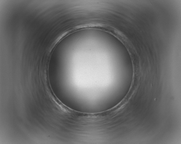 X0000068261177200604210906