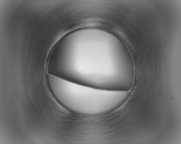 X0000068261178200604210906