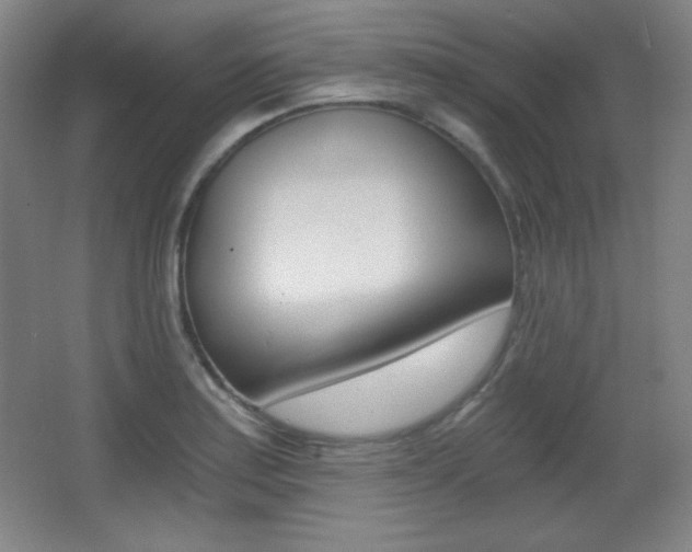 X0000068261179200604210906