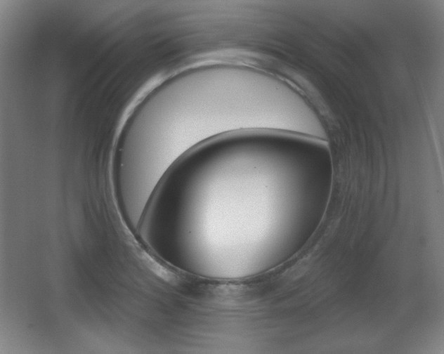 X0000068261180200604210906