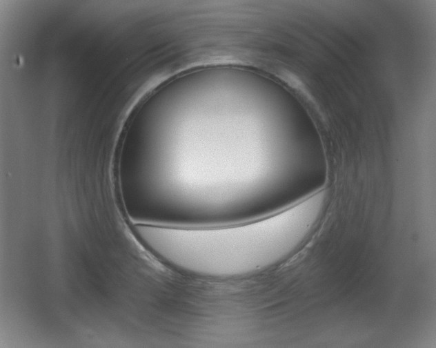 X0000068261181200604210906