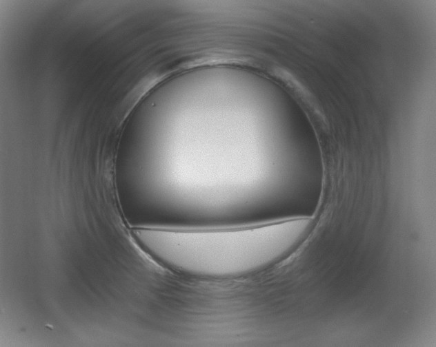 X0000068261185200604210906