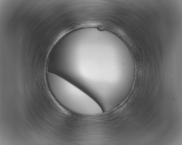 X0000068261186200604210906