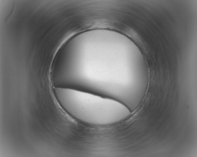 X0000068261190200604210906