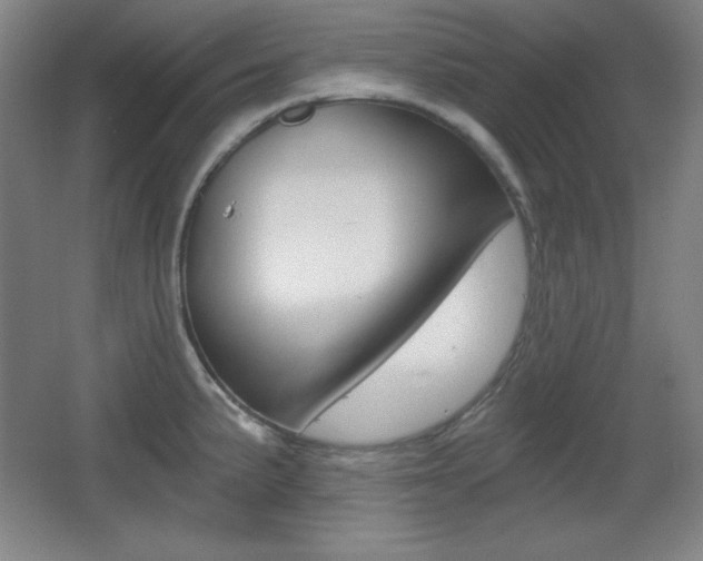 X0000068261191200604210906