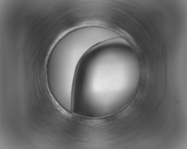 X0000068261192200604210906