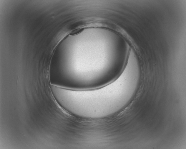 X0000068261193200604210906