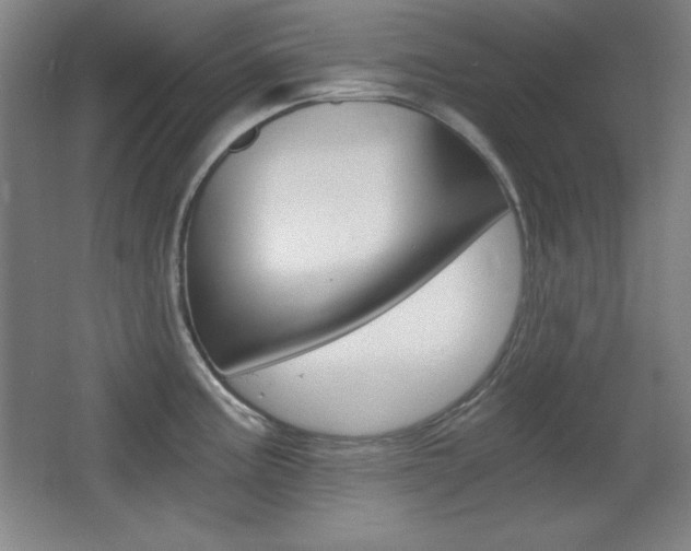 X0000068261195200604210906