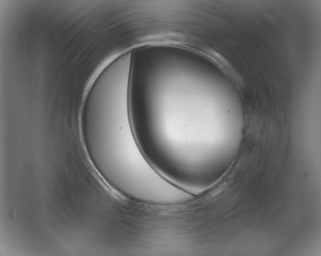 X0000068261196200604210906