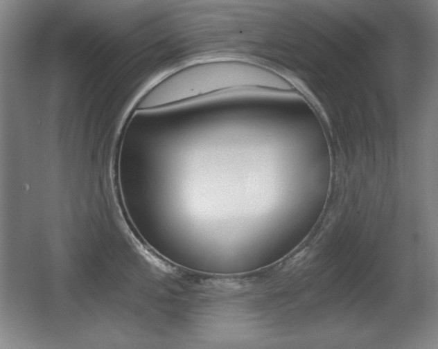 X0000068261197200604210906