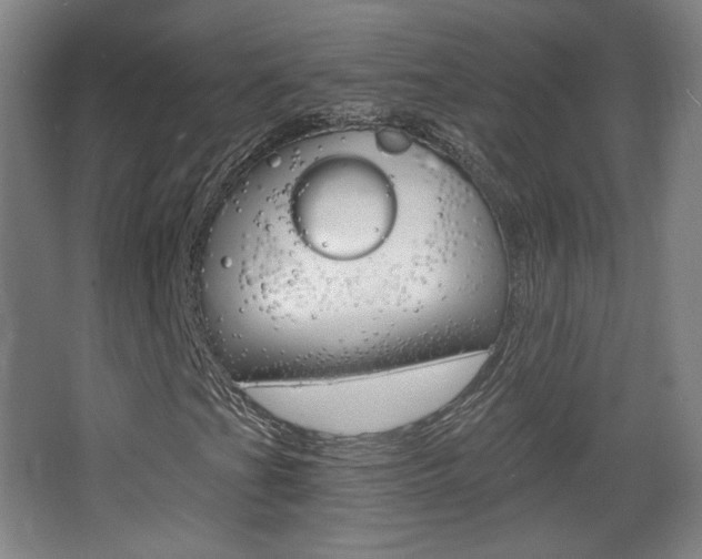 X0000068261201200604210905
