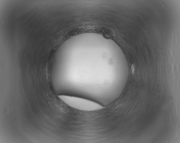 X0000068261203200604210905