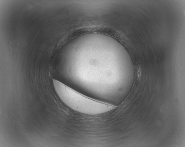 X0000068261204200604210905