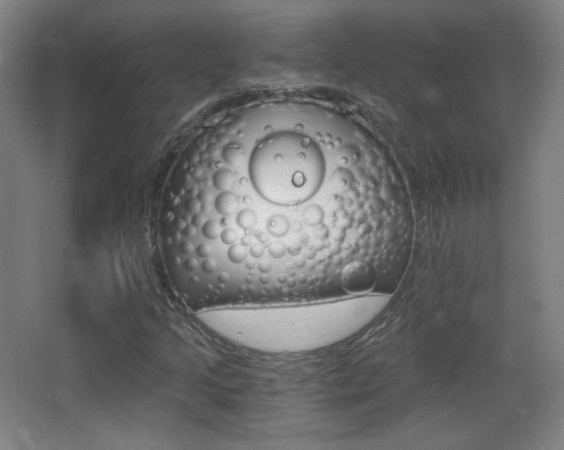 X0000068261205200604210905