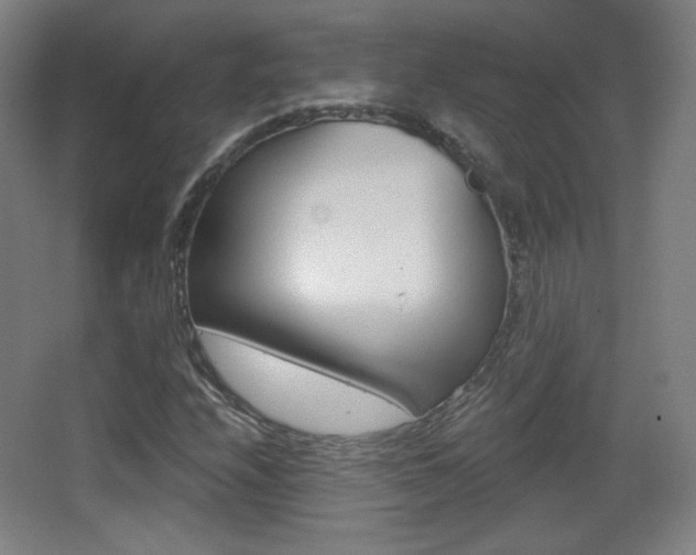 X0000068261208200604210905