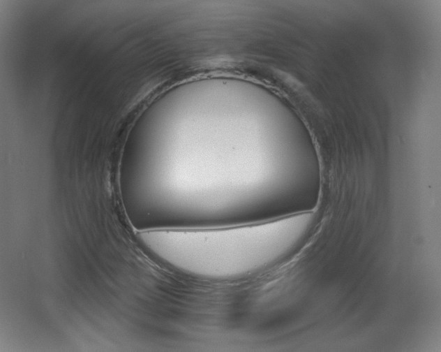 X0000068261209200604210905