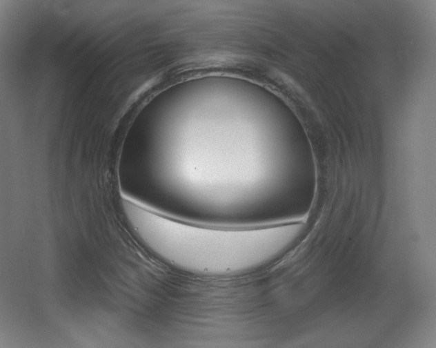 X0000068261210200604210905