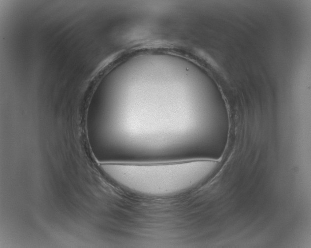 X0000068261213200604210905