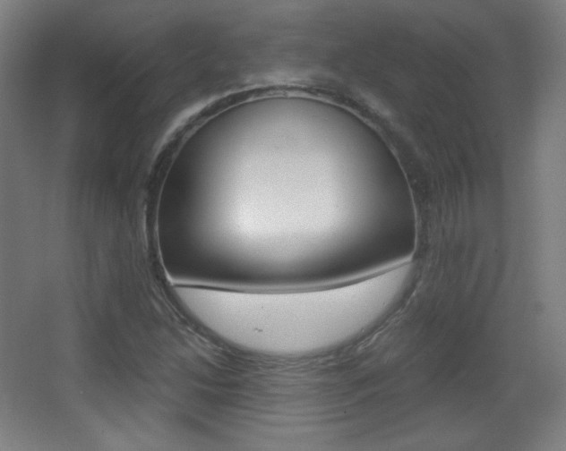 X0000068261214200604210905