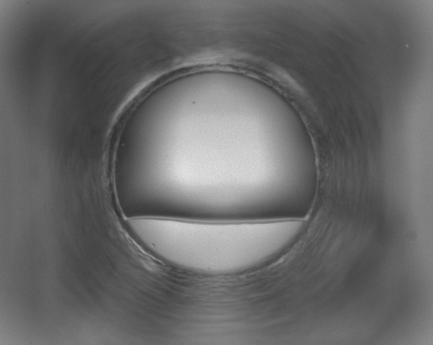 X0000068261216200604210906