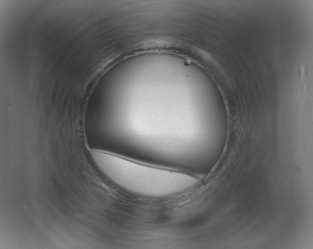 X0000068261217200604210906