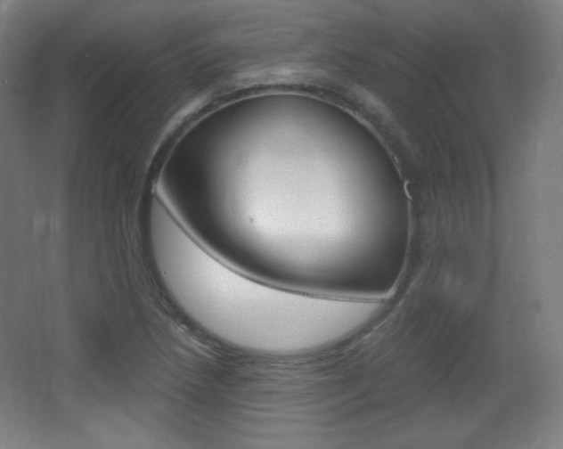 X0000068261218200604210906