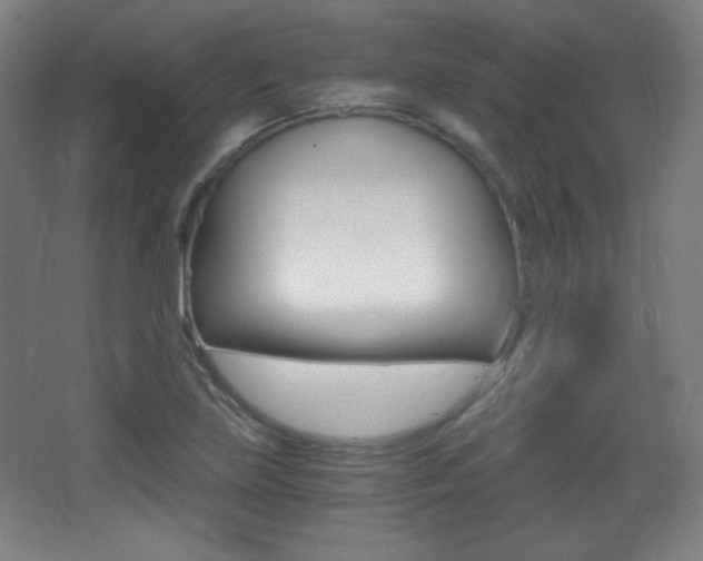 X0000068261219200604210906