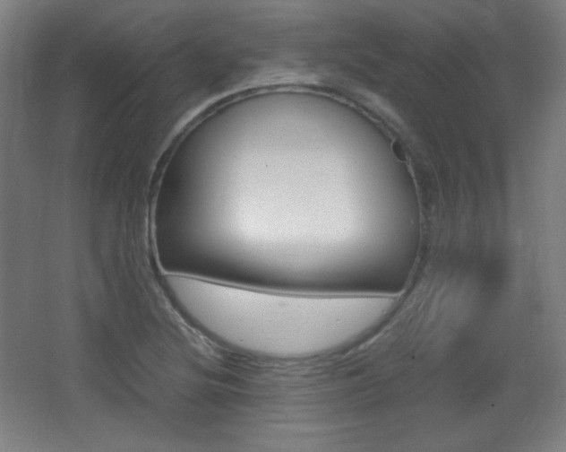 X0000068261220200604210906