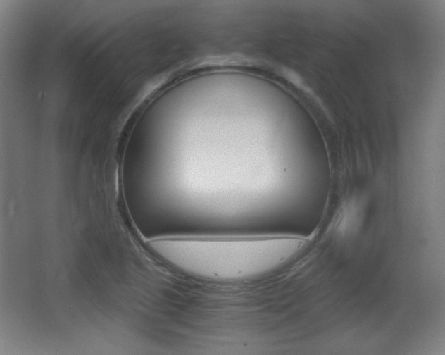 X0000068261221200604210906